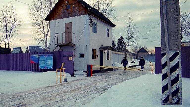 фото яндекс картинки
