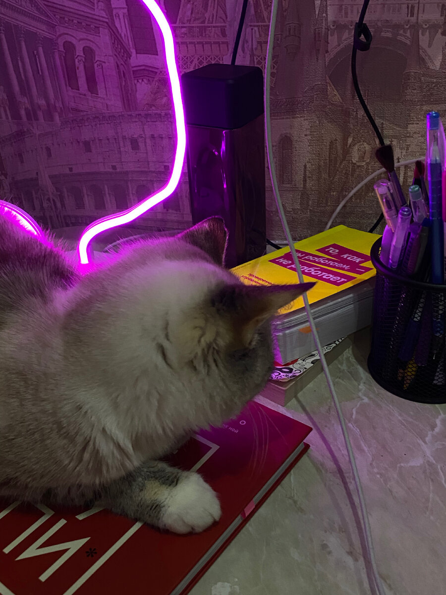 Фото из моего Инстаграм @eelkiinaa