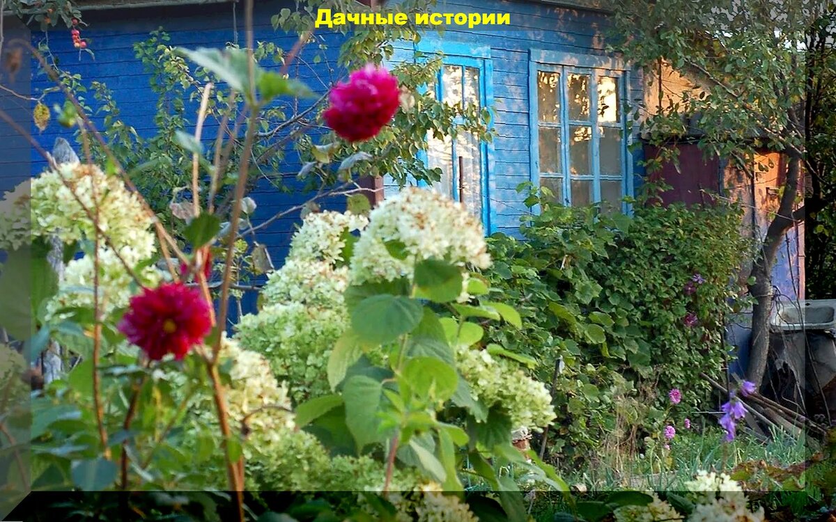 https://vk.com/photo-159774511_457255408