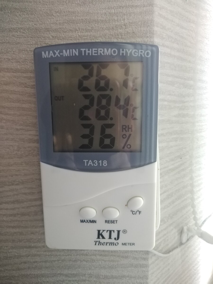 Утром уже +28, кстати, примерно в 8 утра. Фото автора от 18.09.2022г.