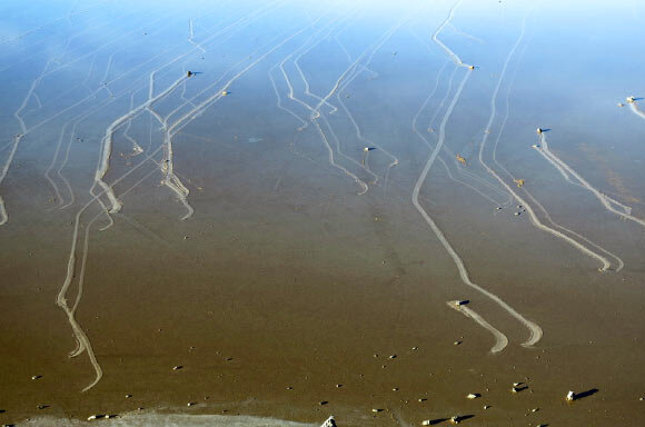 Оригинал фотографии взят с сайта https://www.sci.news/physics/science-death-valley-sailing-stones-02148.html