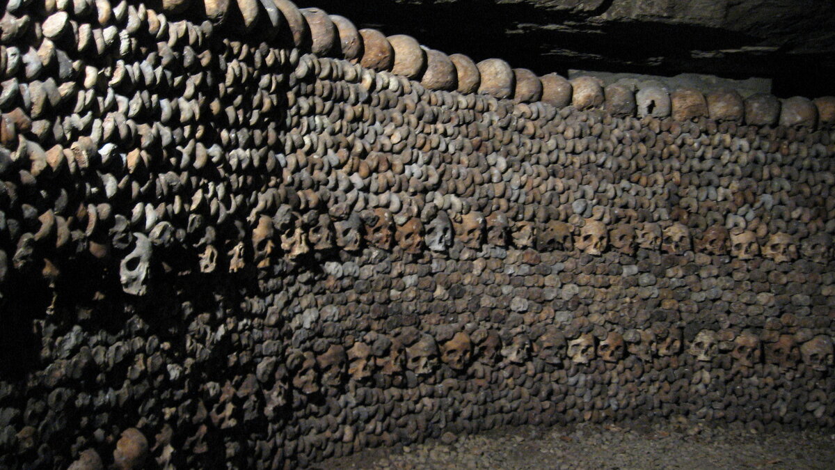 Фото с сайта: https://upload.wikimedia.org