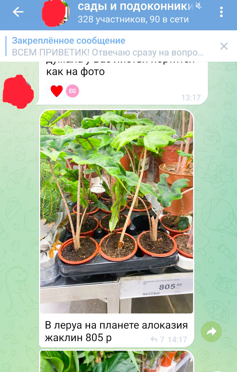 Такое сообщение взбудоражило немало людей в чате