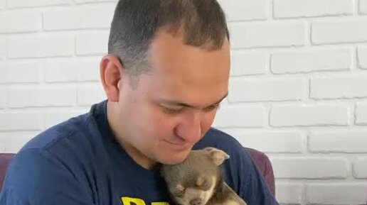 леня роликов