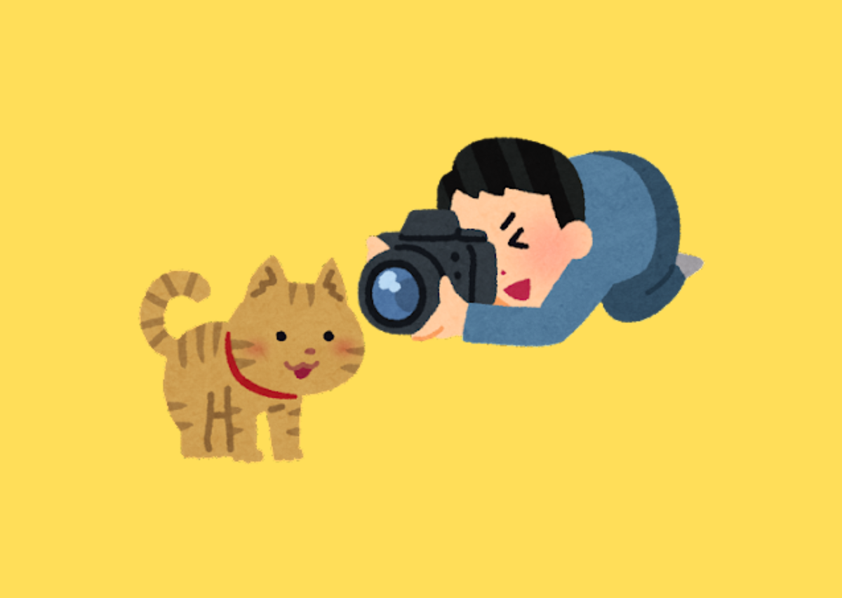 Ставьте лайк и подписывайтесь!