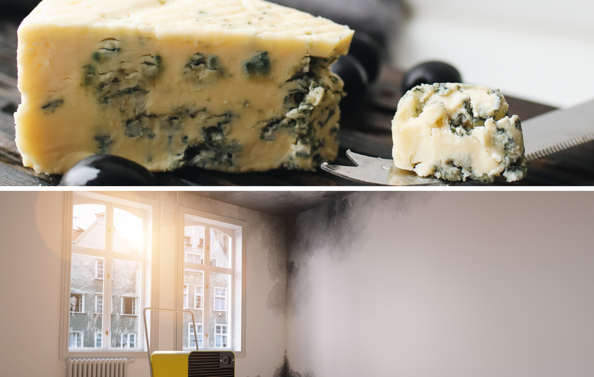 Фото сделано в приложении Canva