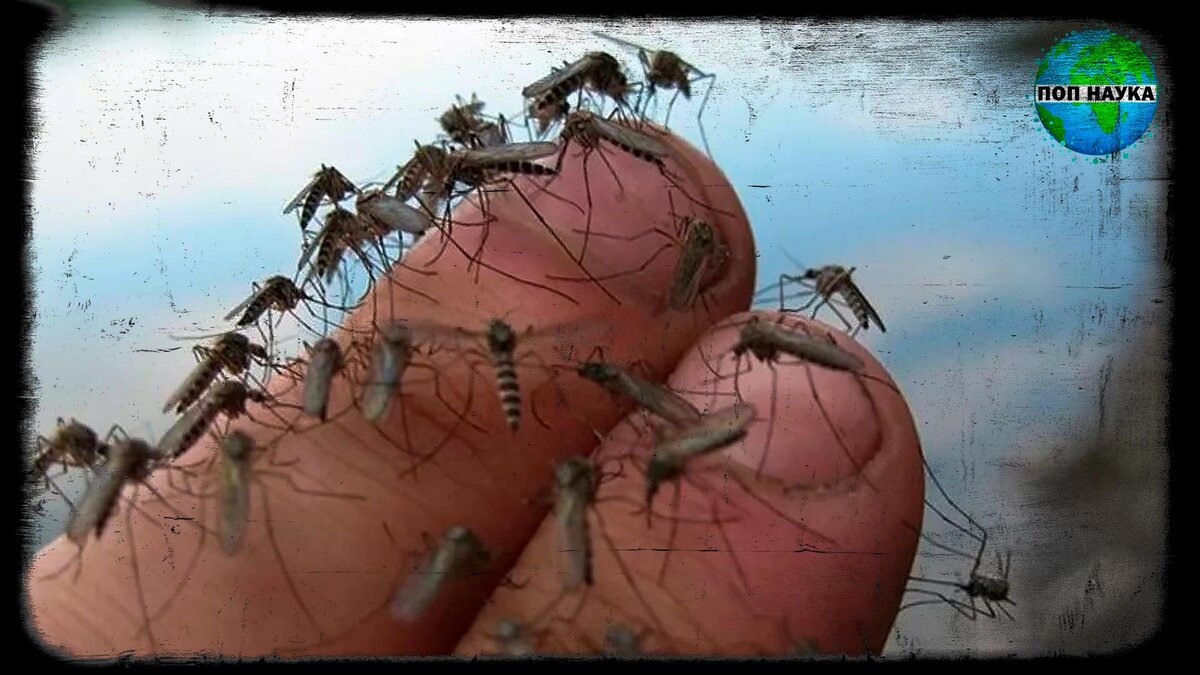 Изображение из открытых источников