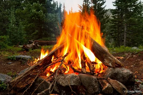 Яндекс.Картинки