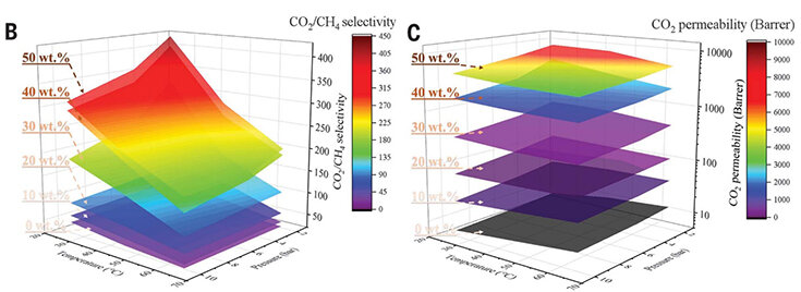   Tan Xiaoyu et al. / Science, 2022
