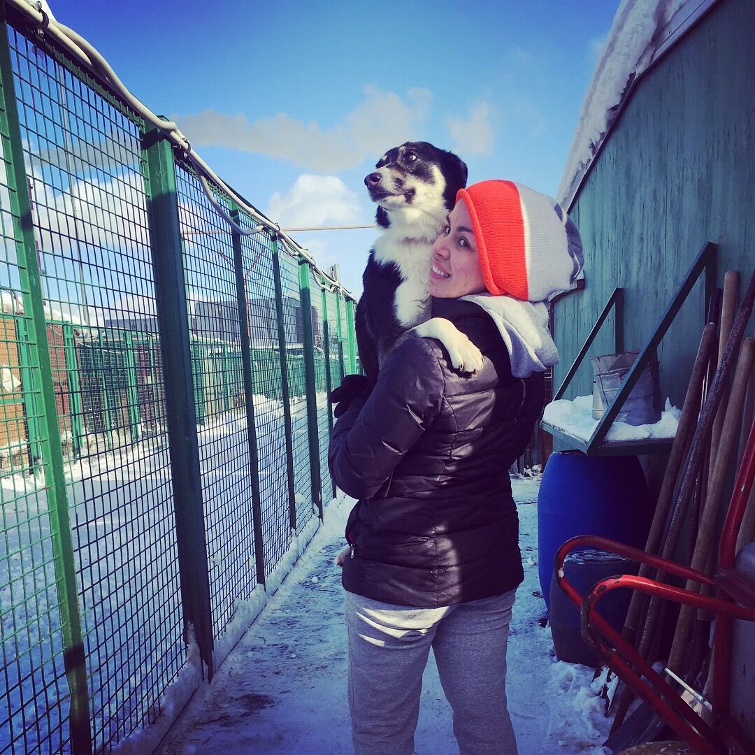 #Приют_Кожухово