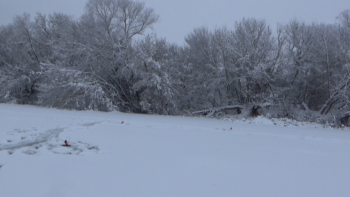 Вот такая красота!