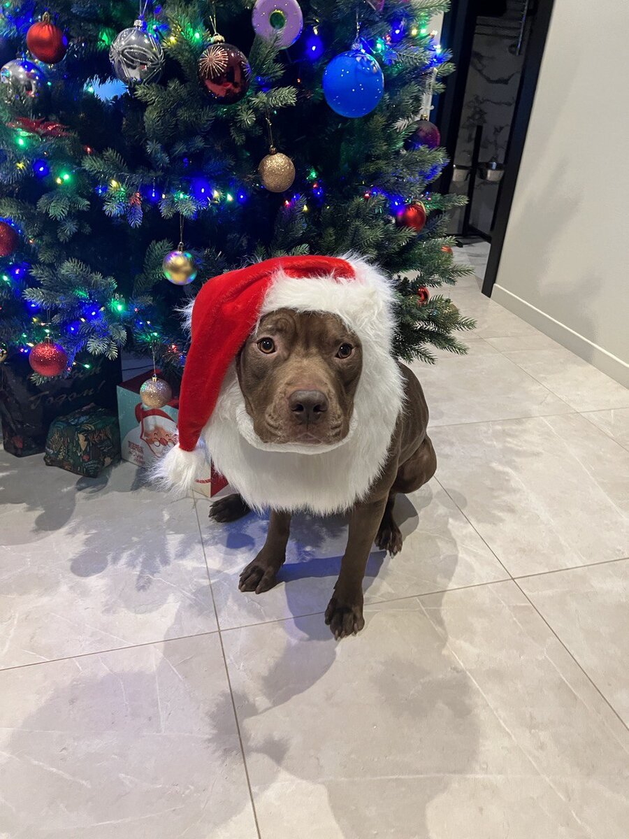 ЧЕ ГЕВАРА РПП