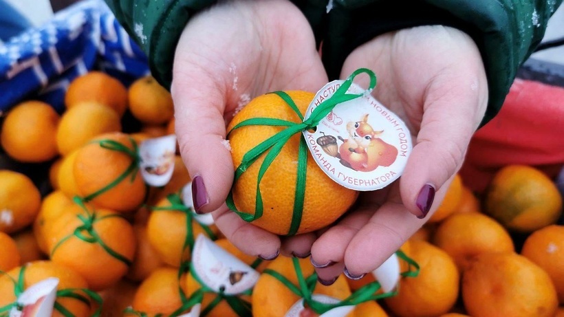    «Успеть до Нового года» © Пресс-служба Министерства культуры и туризма Московской области