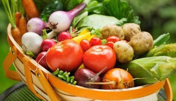 Источник фото: don24.ru