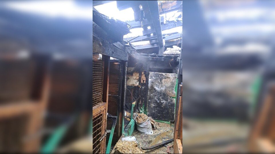     Площадь пожара составила 10 квадратных метров. Фото предоставила Лара Саплина.
