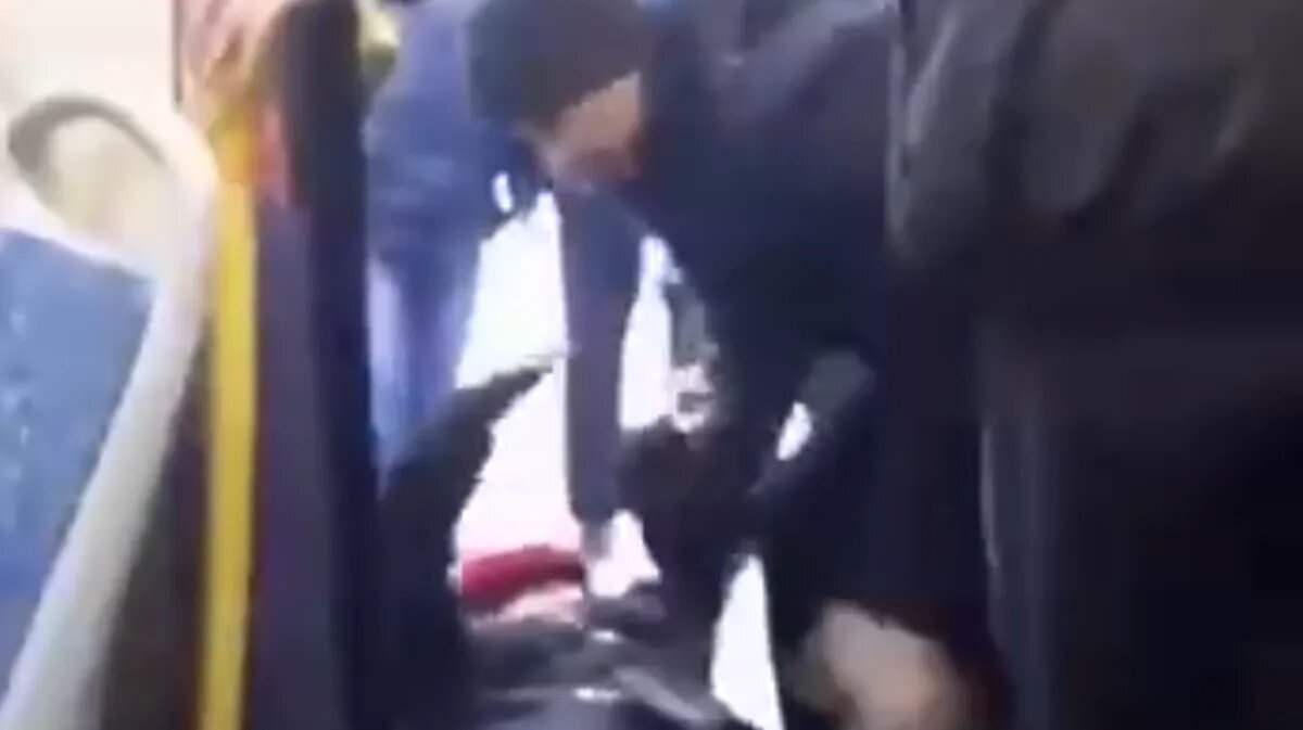 Фото: Типичный Долгопрудный