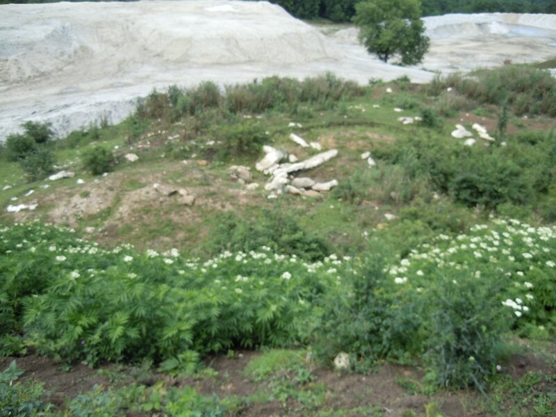 Тут меня спрашивают (ирония) почему не указаны другие конкретные разрушители?-15