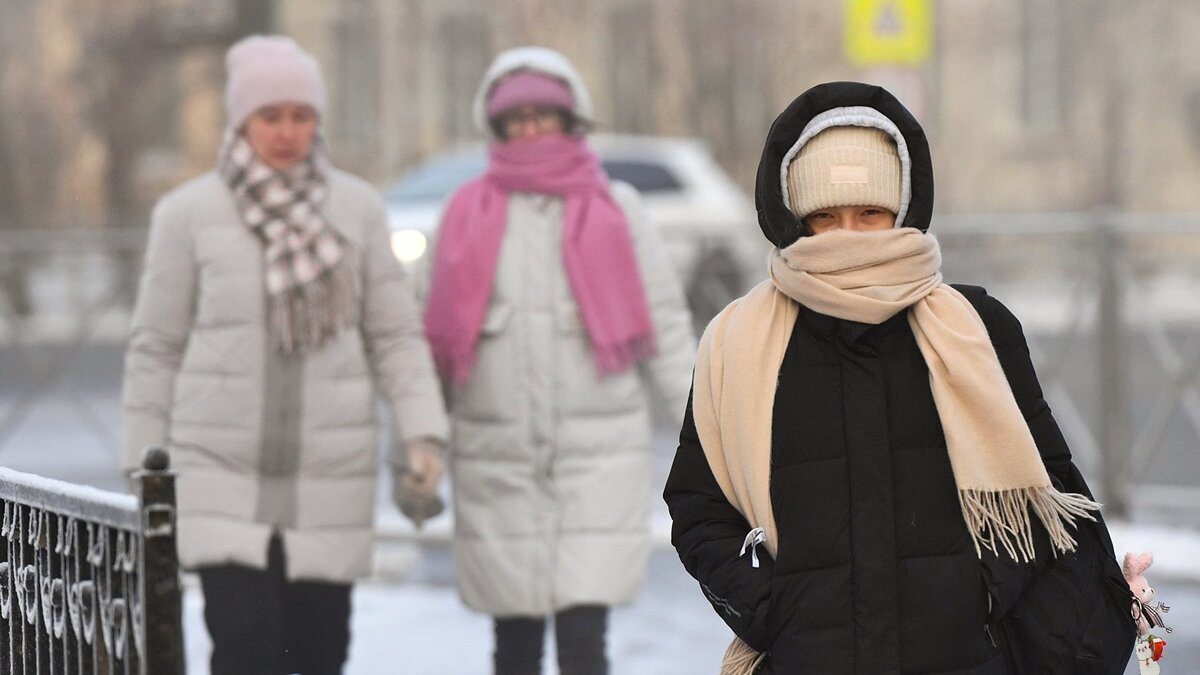    Прохожие на улице Воинская в Новосибирске© РИА Новости . Александр Кряжев