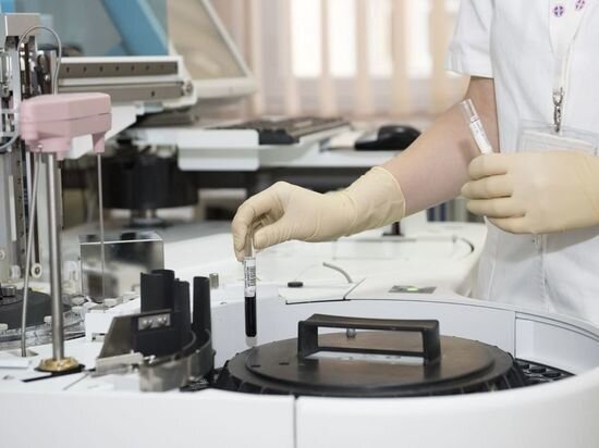     фото: pxhere.com