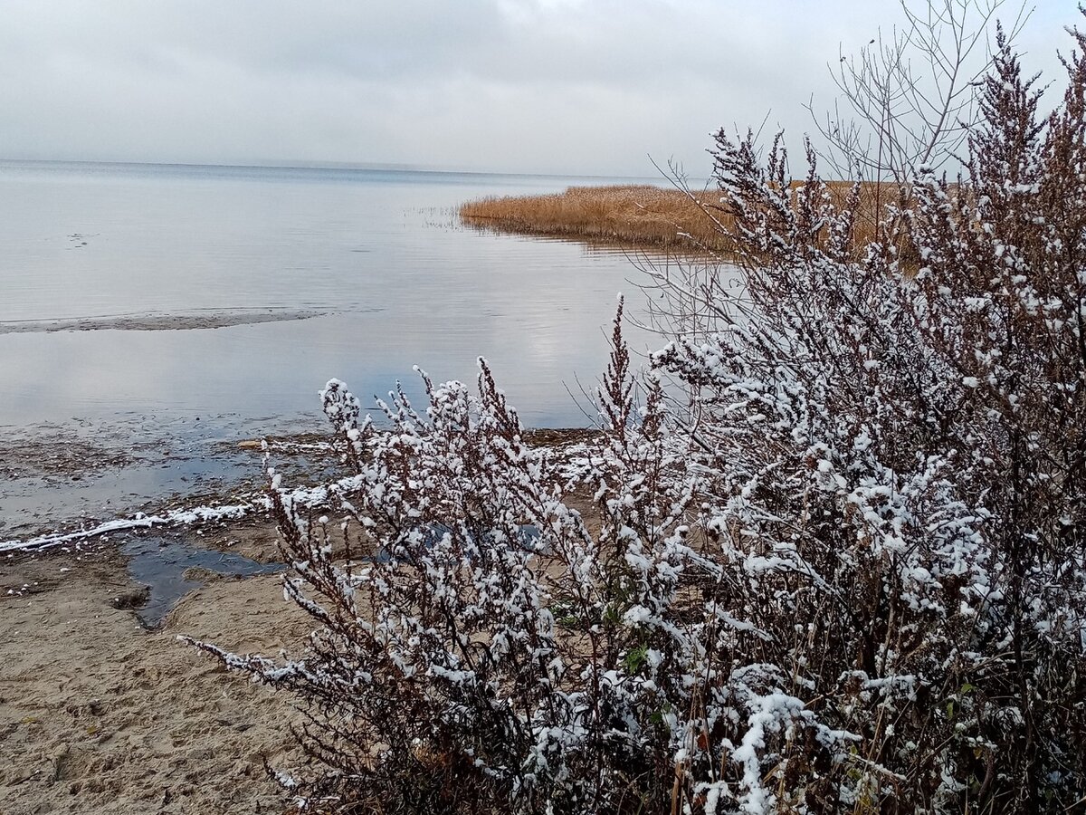 Фото автора - г. Переславль - Залесский, село Елизарово