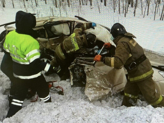     Фото: ГУ МЧС по НСО