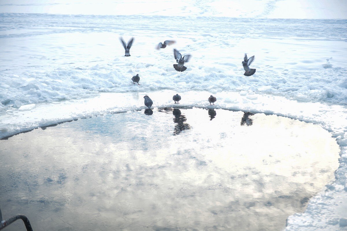    Фото: Вечерняя Москва