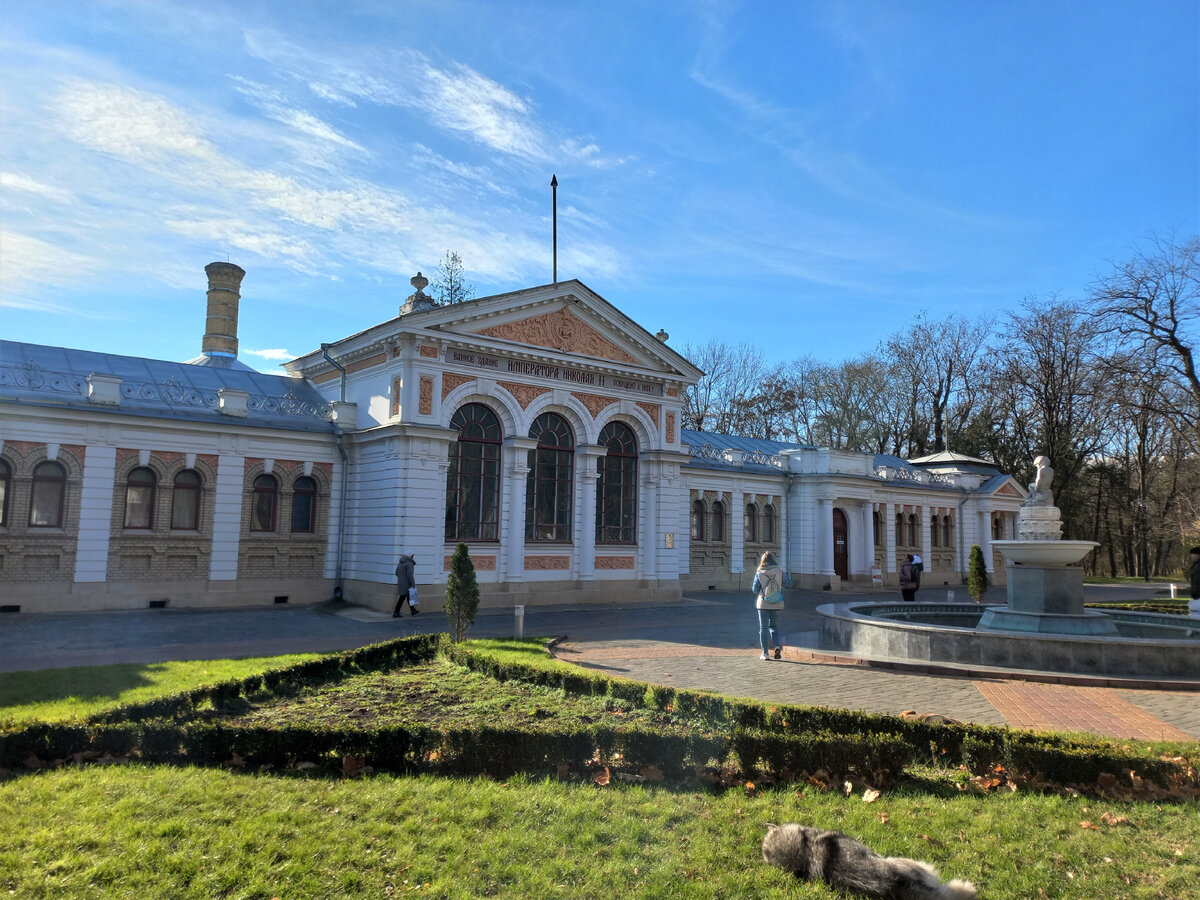 Ессентуки - казачий кордон, ставший курортом. Из истории города | Пора в  путь-дорогу | Дзен