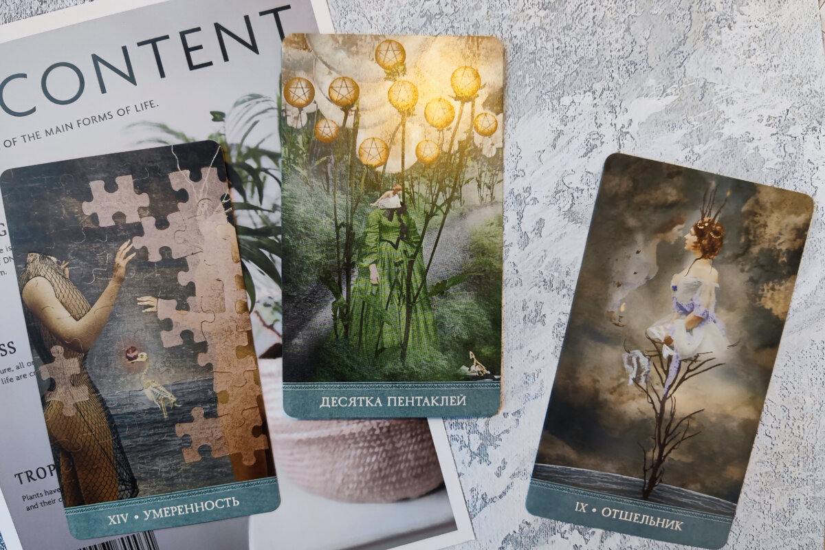Хельга читает таро оракулы дзен
