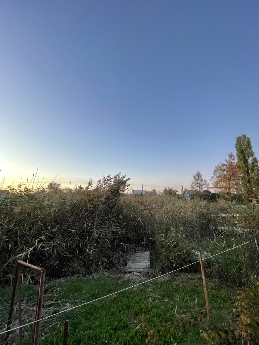 Сентябрь 2022