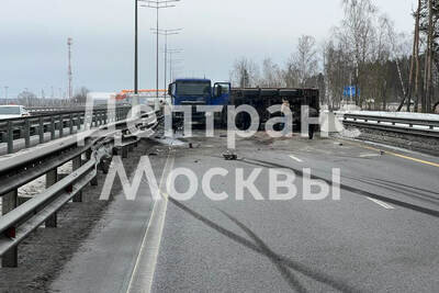    Грузовик врезался в отбойник на внешней стороне ЦКАД в Подмосковье © Telegram-канал «Дептранс. Оперативно»