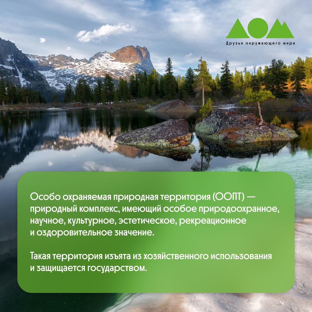 Как охраняют природу в России? О заповедниках и не только | Движение за  экологию «Друзья окружающего мира» ДОМ | Дзен