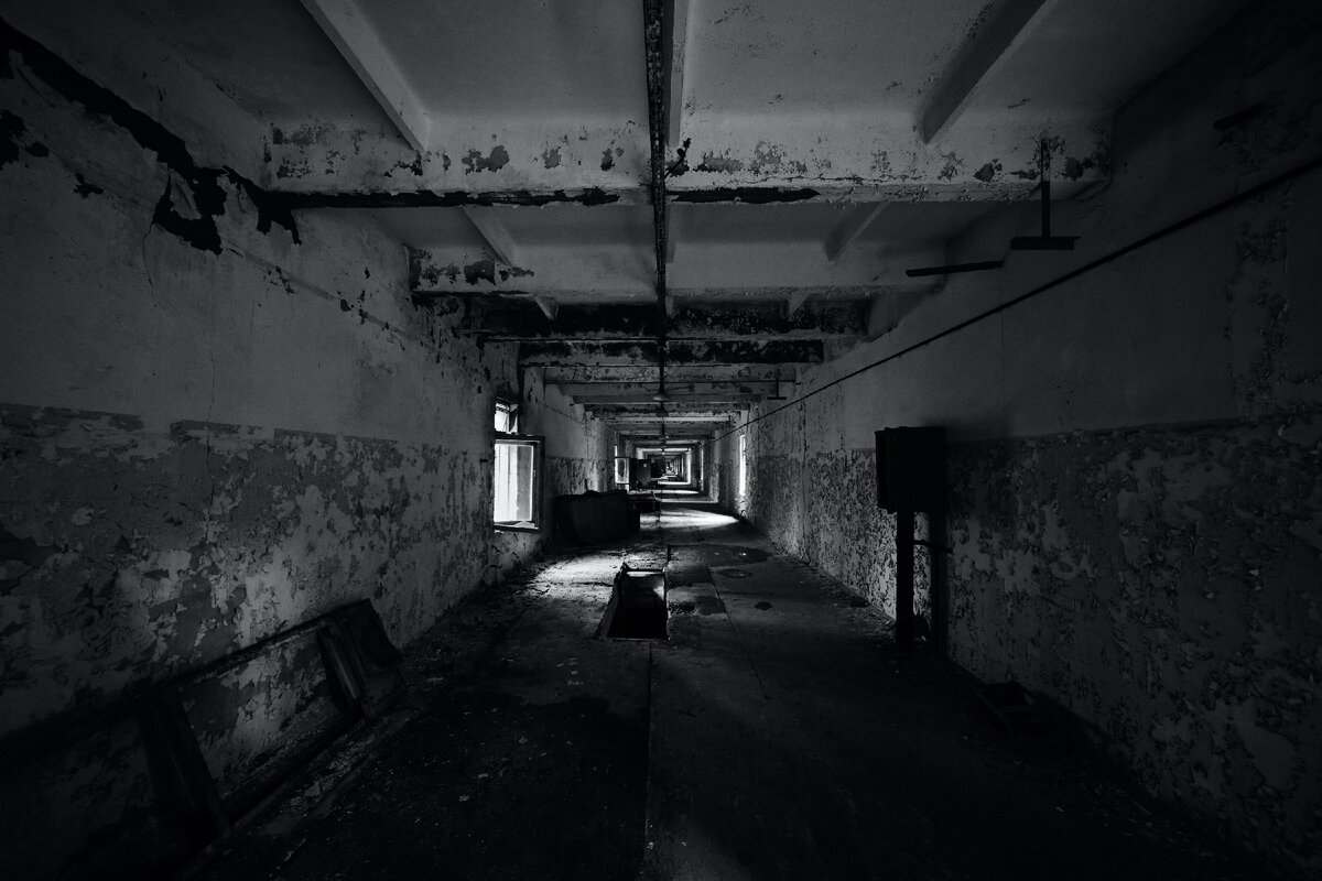 Примерно так в моем воображении представялся наш подвал. Но в темноте сравнить не удалось. Фото с сайта Unsplash.com