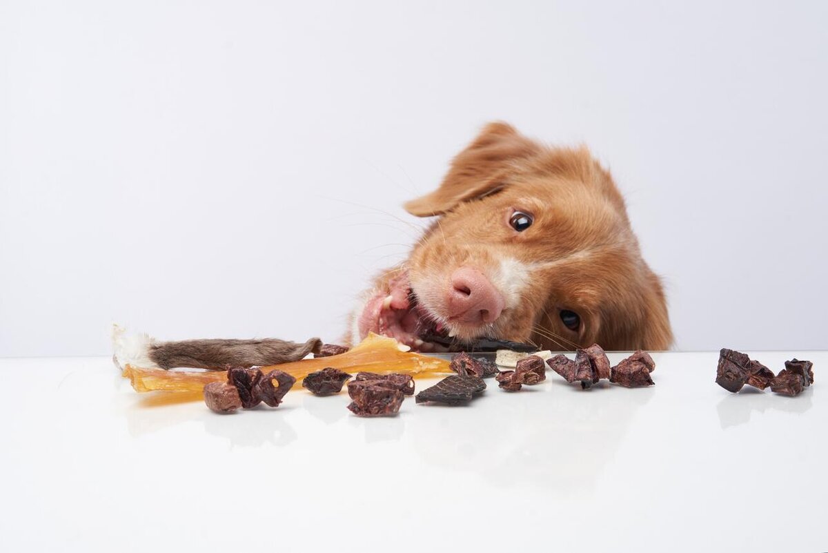     123RF/legion-media.ru