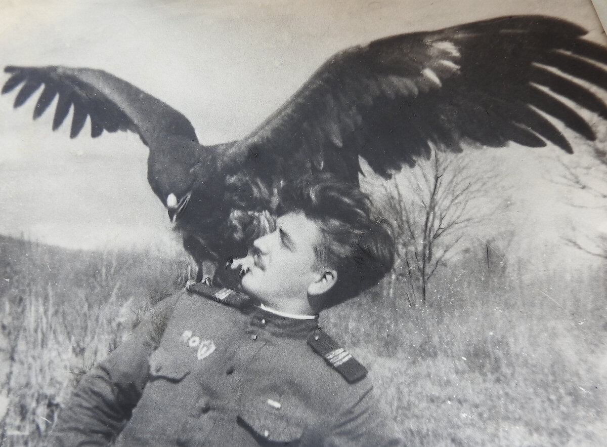 Богдан Рымаренко с беркутом, 60-е гг. 20 века, о.Русский, фото из семейного архива Рымаренко, Волянских, Шеваровых.