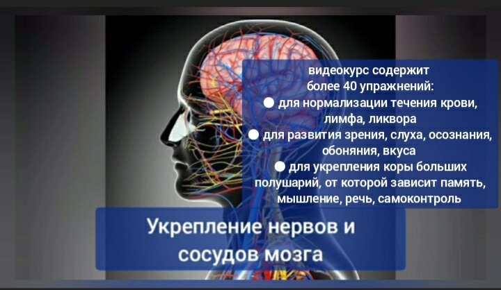 Народная медицина и натуральные витамины