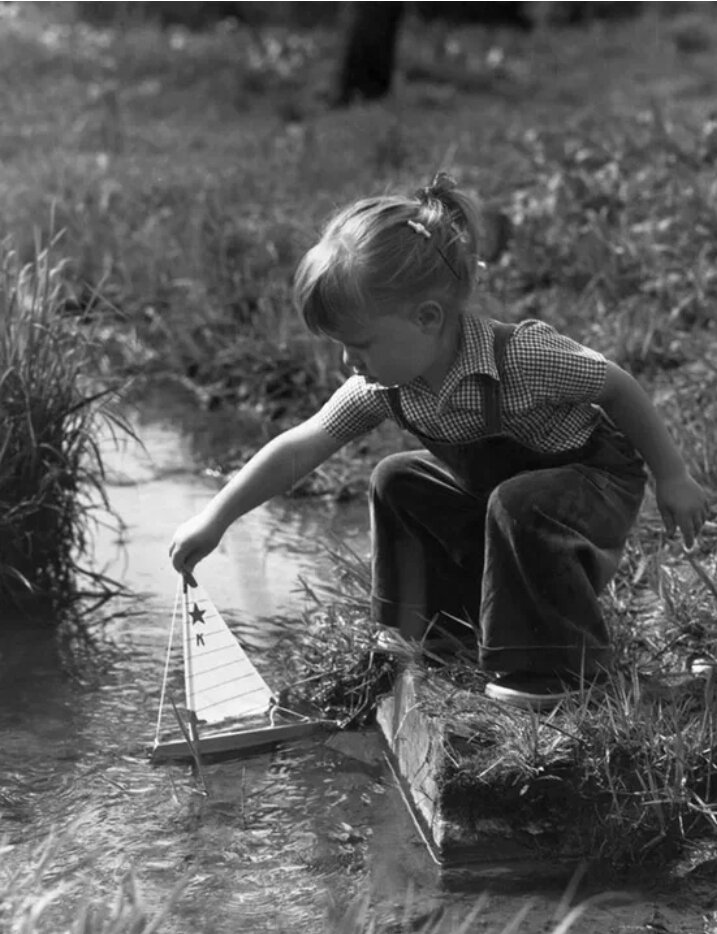 Фото из Яндекс свободный доступ 