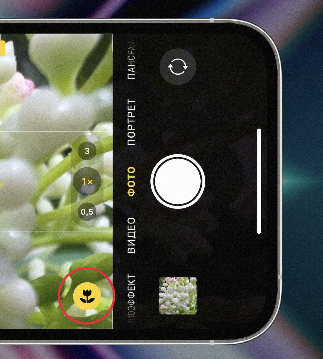 Почему следует отключить режим макросъёмки на iPhone | «iDeaWay» - быть  лучше каждый день! ✓ | Дзен