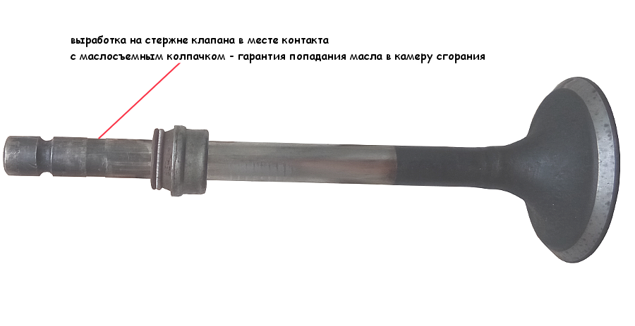 Выработка на стержне клапана в сочетании с износом маслосъемного колпачка - причина появления масла на свече зажигания