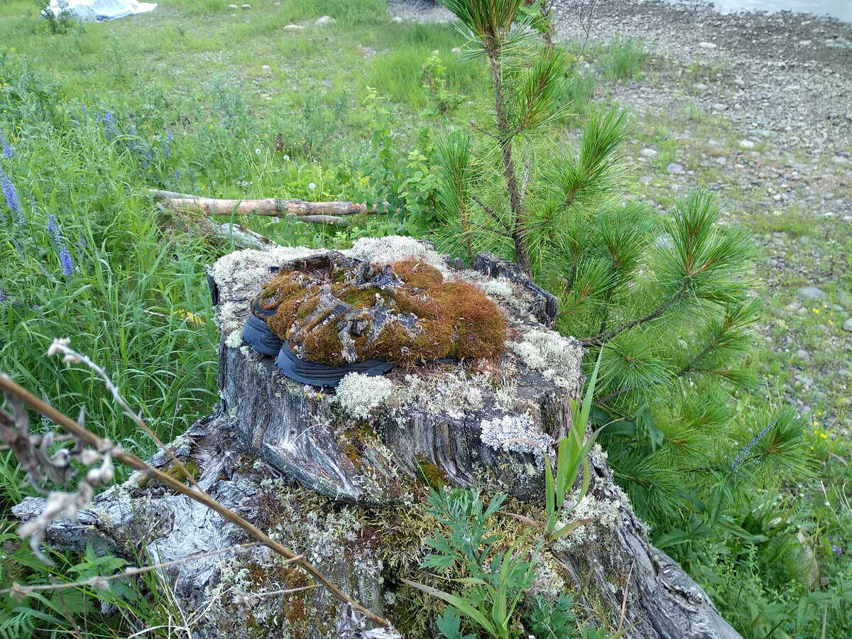 На склоне речной долины непоколебимо стоят вековые достопримечательности туриста