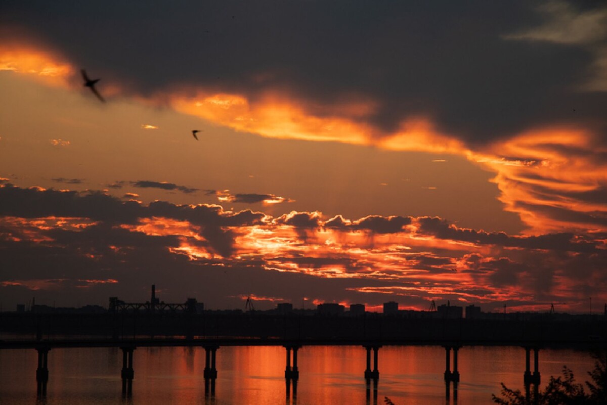   Фото: istockphoto.com