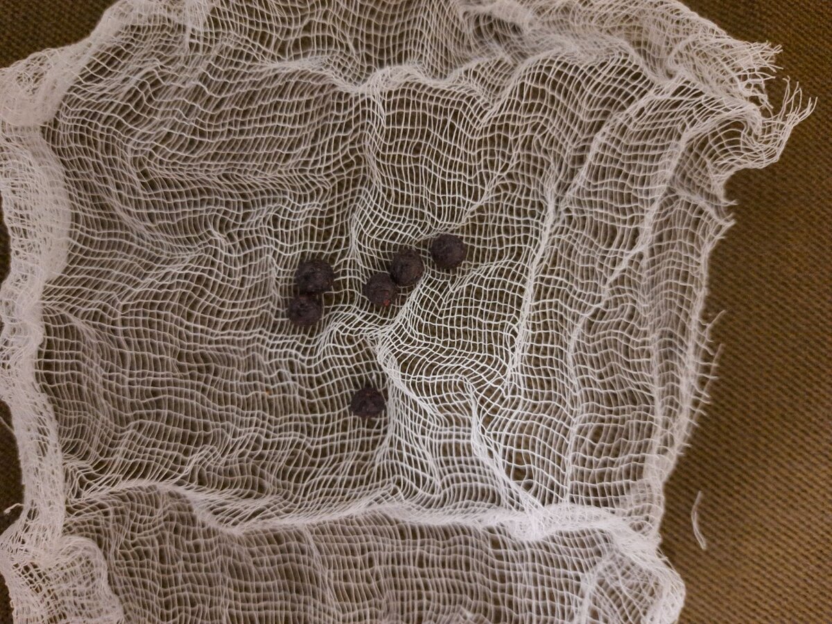 Приготовили-и-ись! — На старт, внимание, в кипяток!