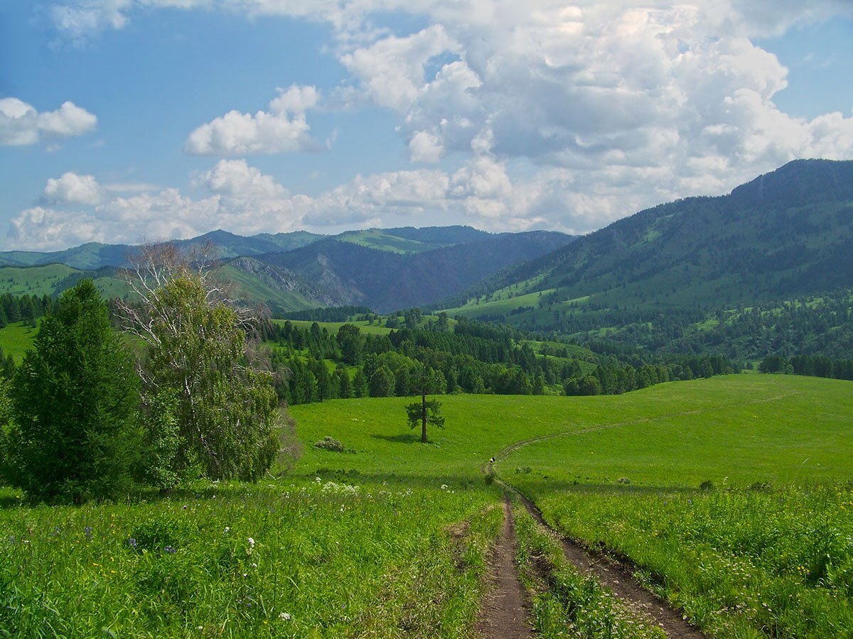 Горно Алтайск со степи