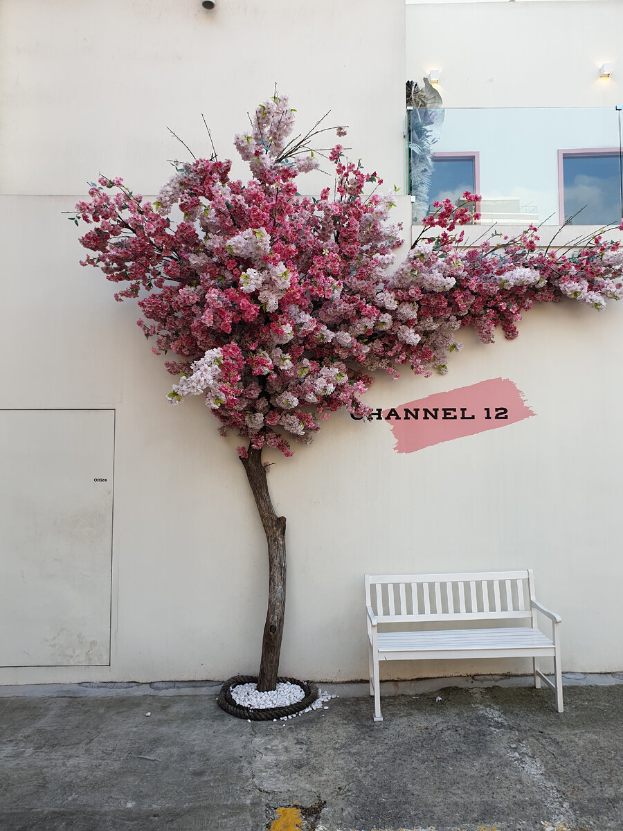 Прекрасное рядом