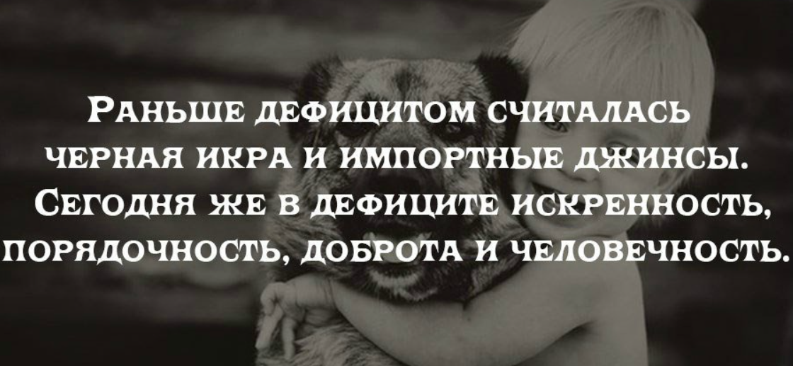 Искренность это. Цитаты про человечность. Афоризмы про человечность. Афоризмы про доброту и человечность. Высказывания о человечности.