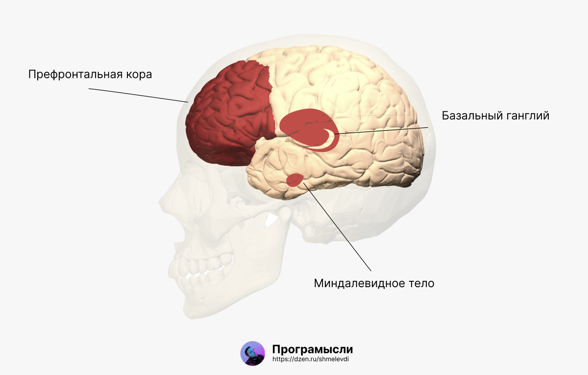 Почему негативные мысли постоянно задерживаются в голове?