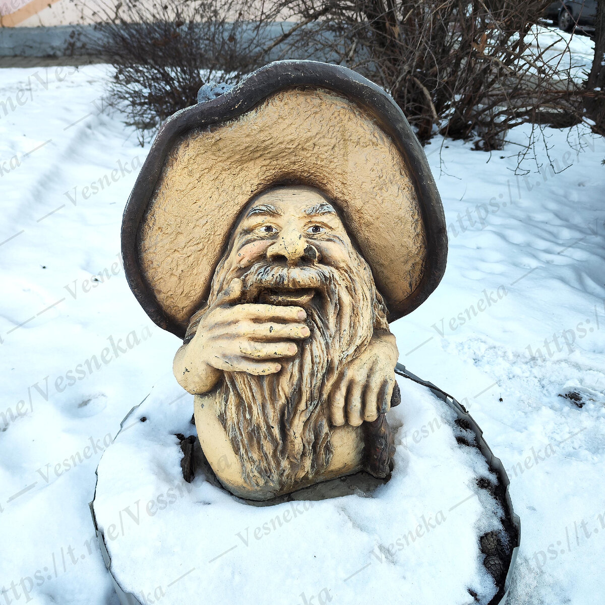 Фото автора