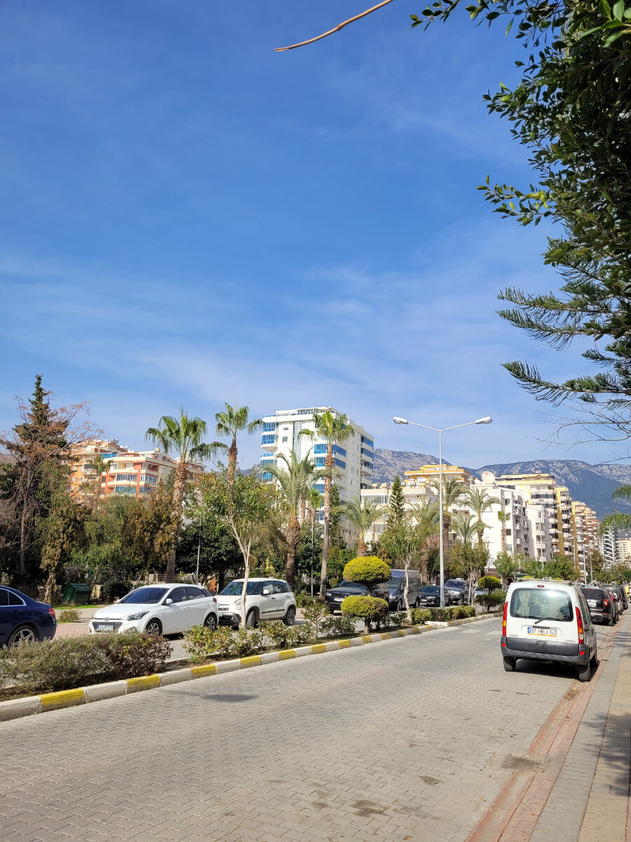 Фото автора.