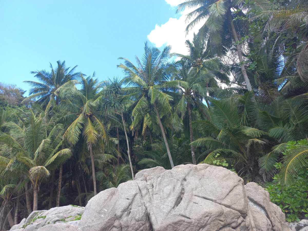 Фото: Евгения Исакова