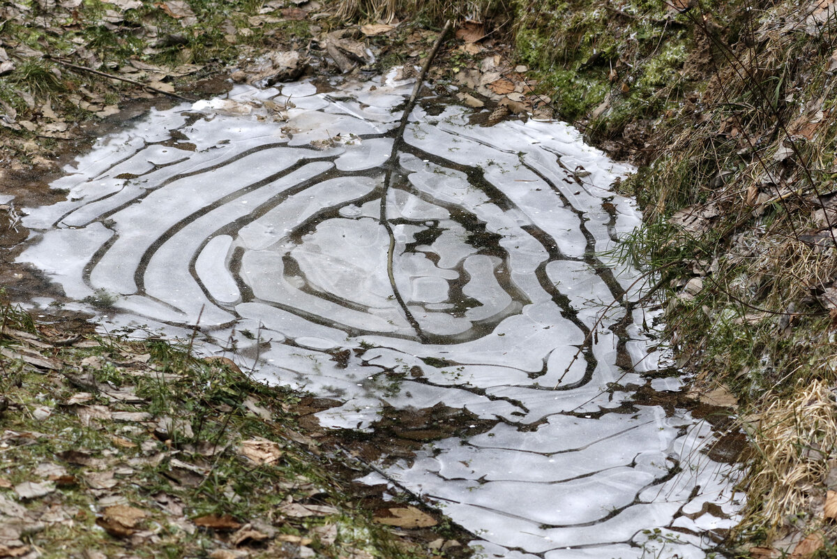 Фото из интернета .