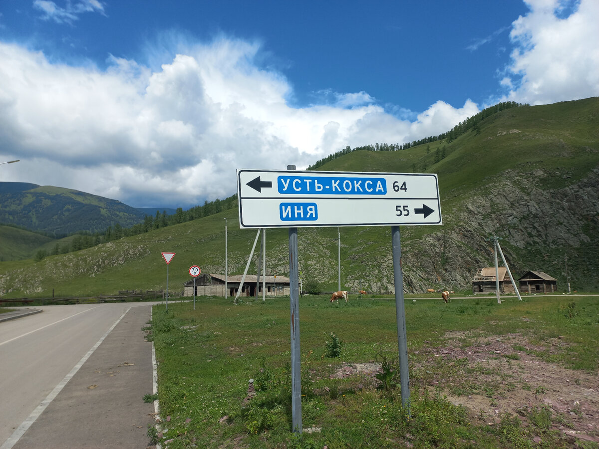 Село иня горный алтай достопримечательности. Цаплинский мост горный алтай. Бывший ине. Станция иня восточная. Вильман сантлана.